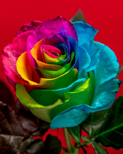 photo by happy-face-emoji